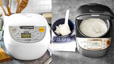 5 Best Electric Rice Cooker & Warmer