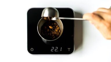 5 Best Coffee Scales with Timer