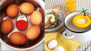 10 Best Egg Gadgets & Accessories on Amazon